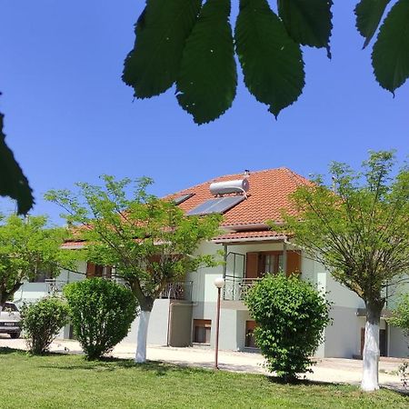 Zisis Garden Studios Joánina Kültér fotó