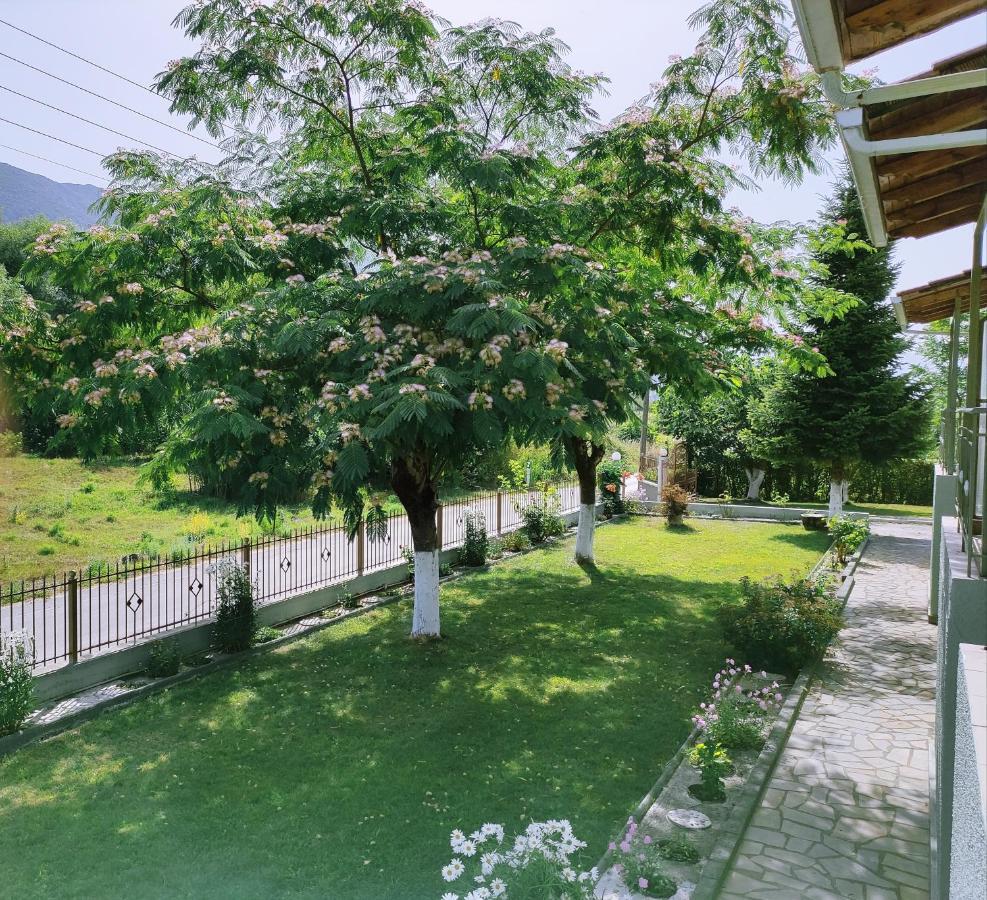 Zisis Garden Studios Joánina Kültér fotó