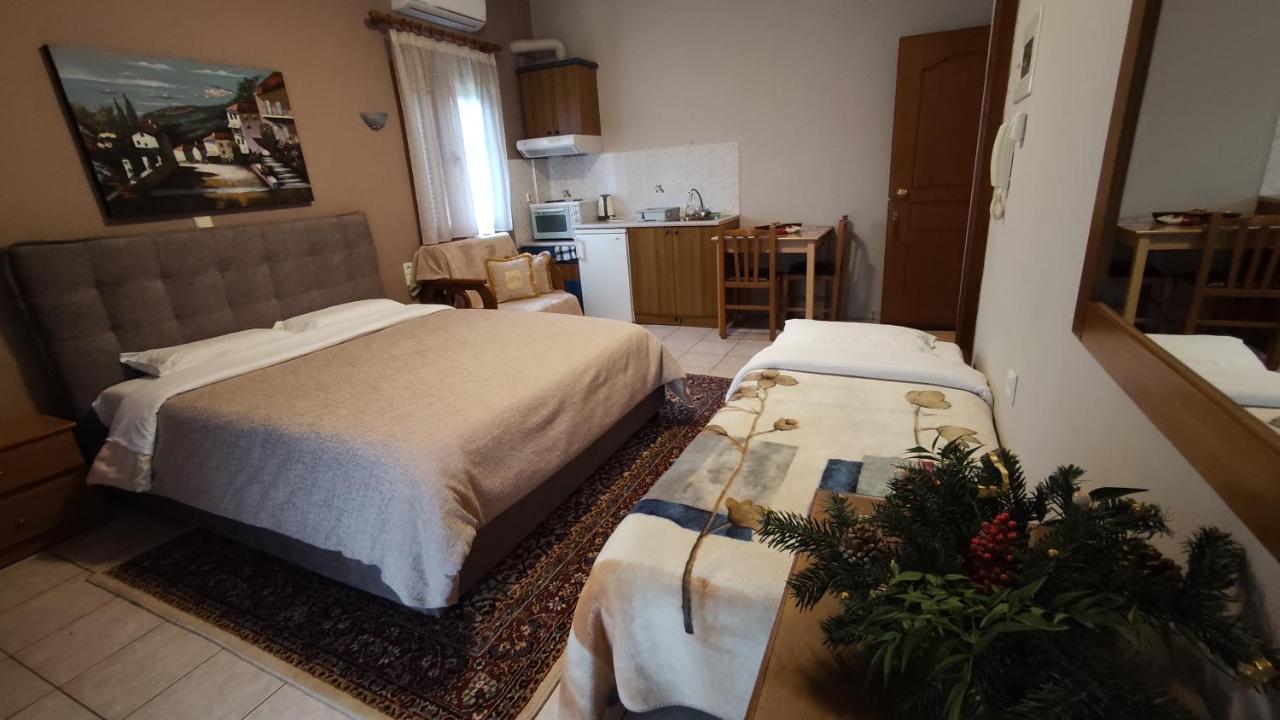 Zisis Garden Studios Joánina Kültér fotó