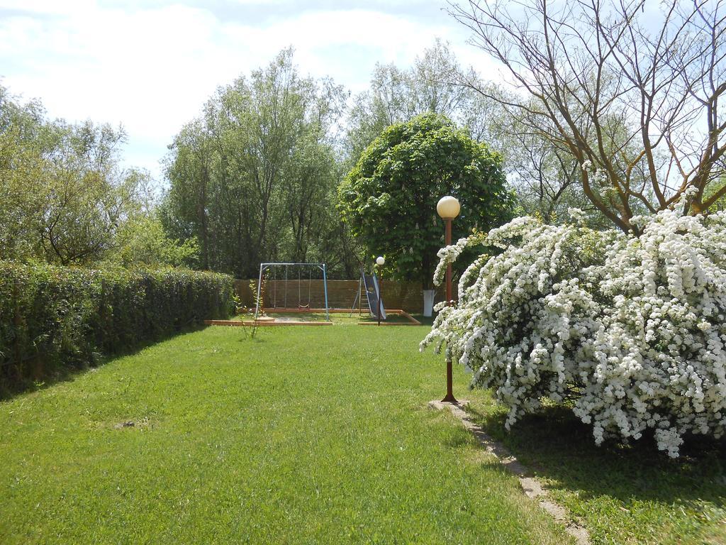 Zisis Garden Studios Joánina Kültér fotó