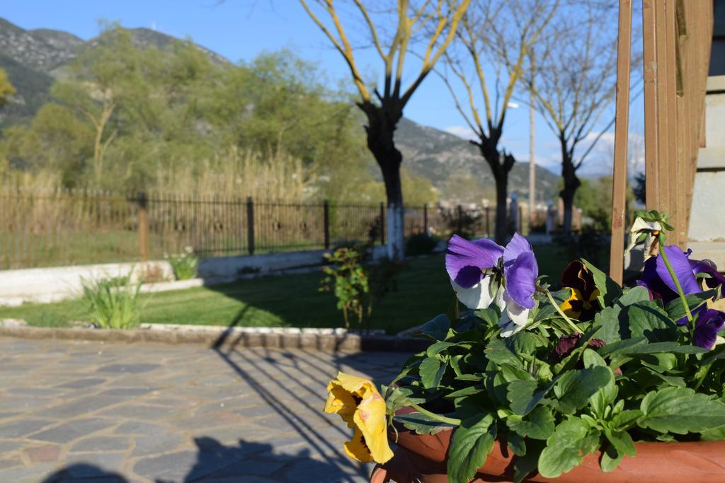 Zisis Garden Studios Joánina Kültér fotó