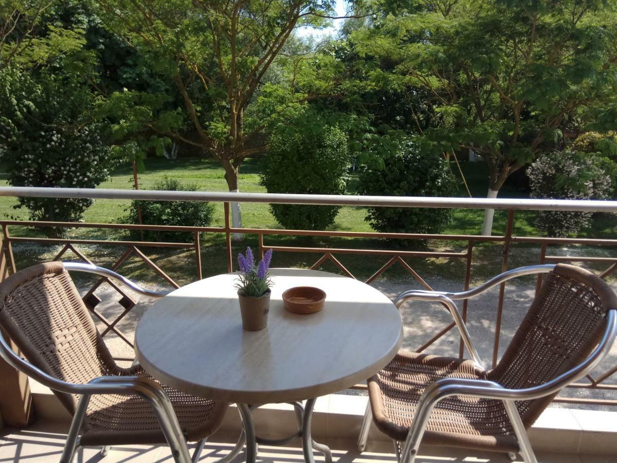 Zisis Garden Studios Joánina Kültér fotó